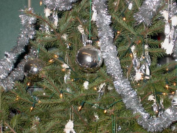 Az enyh�n mardek�ros kar�csonyf�nk... Anya pedig nem hajland� m�s d�szt rakni r�. Helyes!