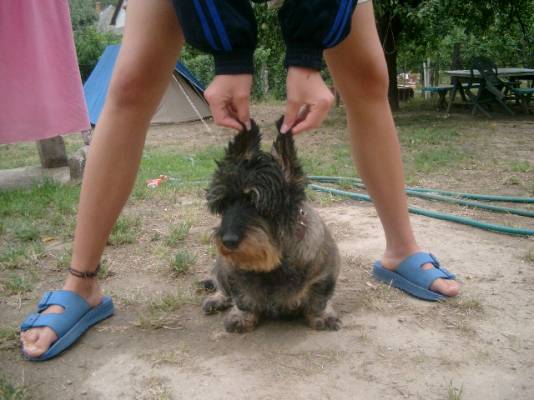 Fruzsi! J�nost id�zve: